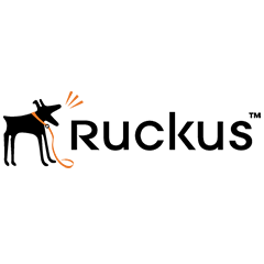 RUCKUS. FUN PARA ICX7150-48ZP (P/N ICX-FUN11)
